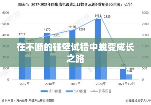在不斷的碰壁試錯中蛻變成長之路