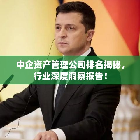中企資產管理公司排名揭秘，行業(yè)深度洞察報告！