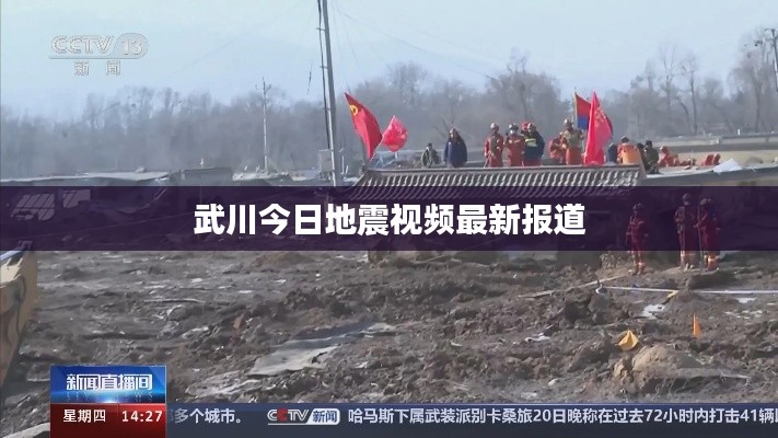 武川今日地震視頻最新報(bào)道