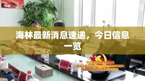 海林最新消息速遞，今日信息一覽