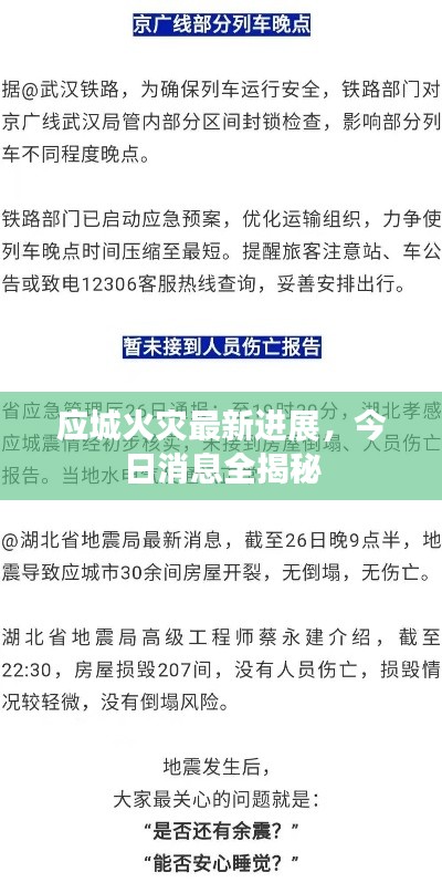 應(yīng)城火災(zāi)最新進(jìn)展，今日消息全揭秘