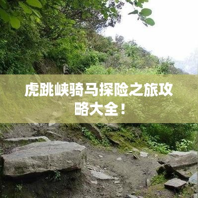 虎跳峽騎馬探險之旅攻略大全！