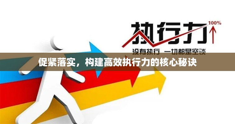促緊落實，構(gòu)建高效執(zhí)行力的核心秘訣