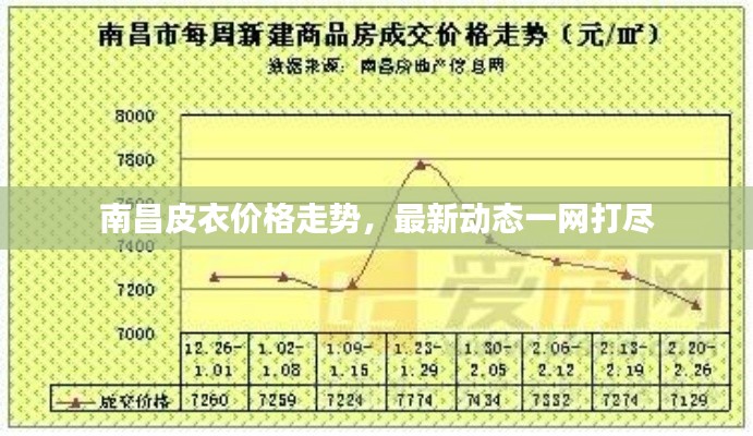 南昌皮衣價(jià)格走勢(shì)，最新動(dòng)態(tài)一網(wǎng)打盡
