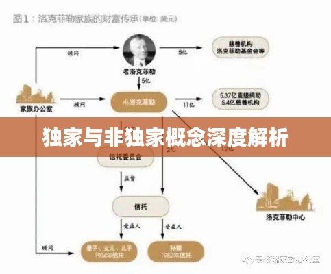 獨(dú)家與非獨(dú)家概念深度解析