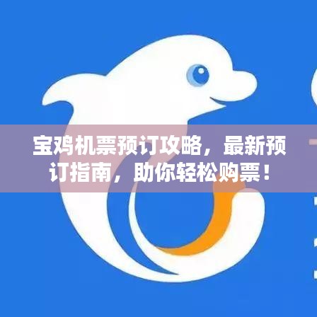 寶雞機(jī)票預(yù)訂攻略，最新預(yù)訂指南，助你輕松購(gòu)票！