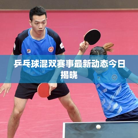 乒乓球混雙賽事最新動態(tài)今日揭曉