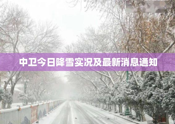 中衛(wèi)今日降雪實(shí)況及最新消息通知