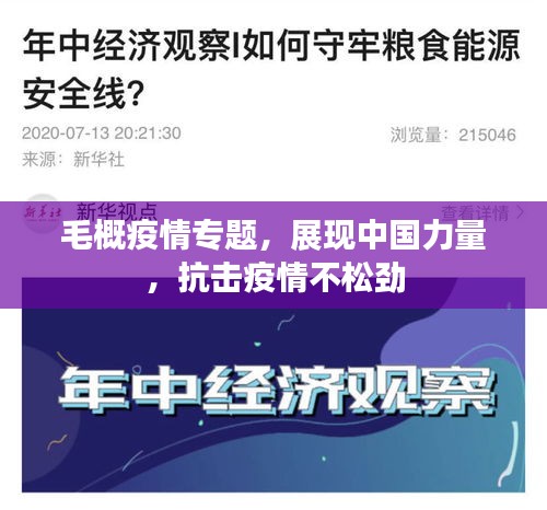 毛概疫情專題，展現(xiàn)中國力量，抗擊疫情不松勁