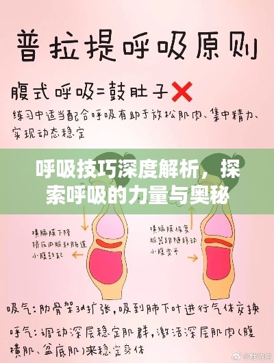 呼吸技巧深度解析，探索呼吸的力量與奧秘