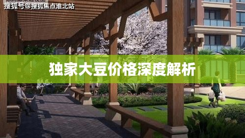 獨家大豆價格深度解析