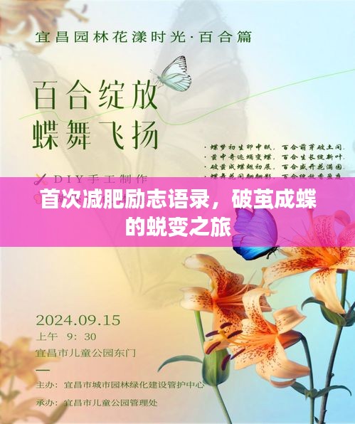 首次減肥勵(lì)志語錄，破繭成蝶的蛻變之旅