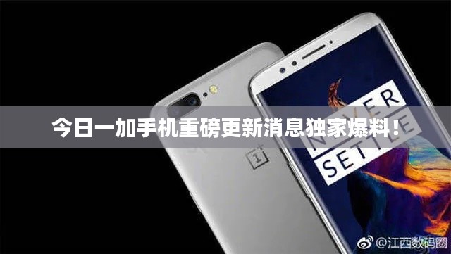 今日一加手機重磅更新消息獨家爆料！