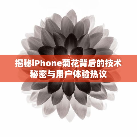 揭秘iPhone菊花背后的技術(shù)秘密與用戶體驗(yàn)熱議