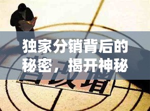 獨(dú)家分銷背后的秘密，揭開神秘面紗下的真相與定位探索