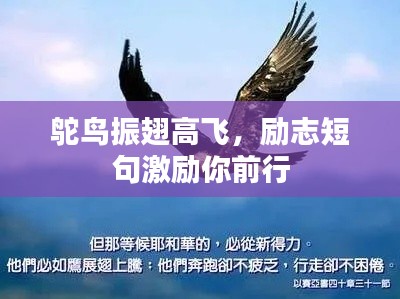鴕鳥(niǎo)振翅高飛，勵(lì)志短句激勵(lì)你前行