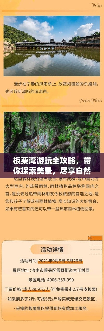 板栗灣游玩全攻略，帶你探索美景，盡享自然盛宴！