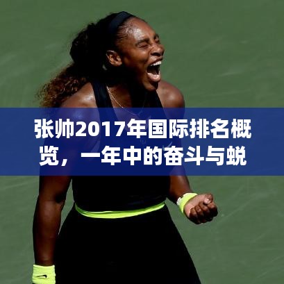 張帥2017年國際排名概覽，一年中的奮斗與蛻變