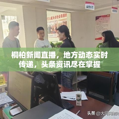 桐柏新聞直播，地方動態(tài)實時傳遞，頭條資訊盡在掌握