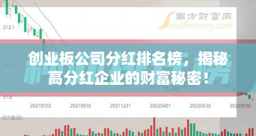 創(chuàng)業(yè)板公司分紅排名榜，揭秘高分紅企業(yè)的財富秘密！