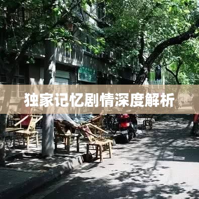 獨家記憶劇情深度解析