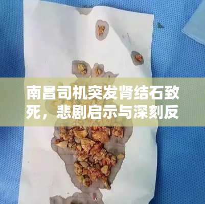 南昌司機(jī)突發(fā)腎結(jié)石致死，悲劇啟示與深刻反思