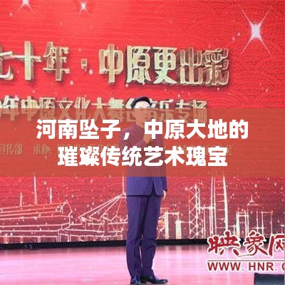 河南墜子，中原大地的璀璨傳統(tǒng)藝術(shù)瑰寶