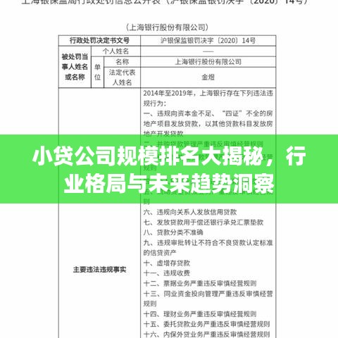 小貸公司規(guī)模排名大揭秘，行業(yè)格局與未來趨勢(shì)洞察