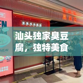 汕頭獨(dú)家臭豆腐，獨(dú)特美食之旅，讓你一吃難忘！