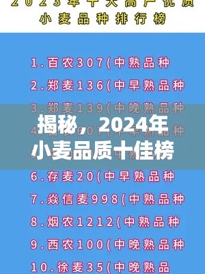 揭秘，2024年小麥品質(zhì)十佳榜單解析