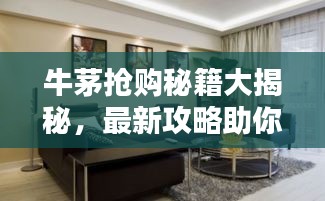 牛茅搶購秘籍大揭秘，最新攻略助你輕松掌握搶購訣竅！