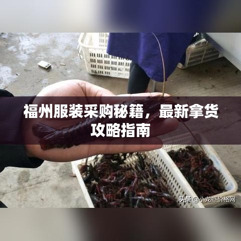 福州服裝采購秘籍，最新拿貨攻略指南