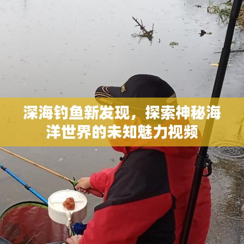 深海釣魚新發(fā)現(xiàn)，探索神秘海洋世界的未知魅力視頻