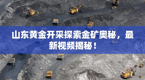 山東黃金開采探索金礦奧秘，最新視頻揭秘！