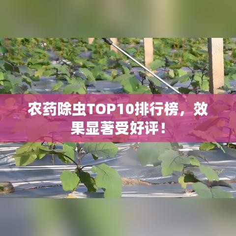農藥除蟲TOP10排行榜，效果顯著受好評！