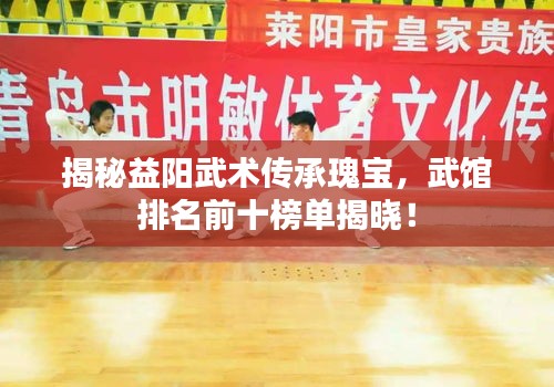揭秘益陽武術(shù)傳承瑰寶，武館排名前十榜單揭曉！