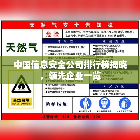 中國信息安全公司排行榜揭曉，領(lǐng)先企業(yè)一覽