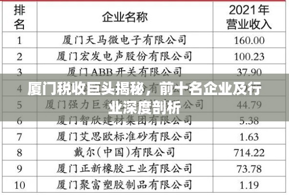 廈門稅收巨頭揭秘，前十名企業(yè)及行業(yè)深度剖析
