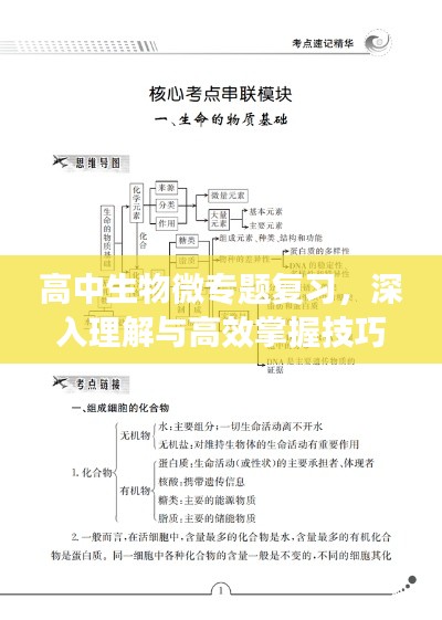 高中生物微專題復(fù)習(xí)，深入理解與高效掌握技巧