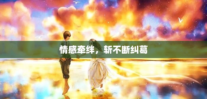 情感牽絆，斬不斷糾葛