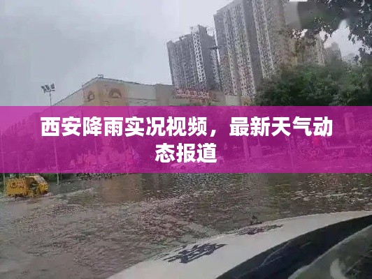 西安降雨實況視頻，最新天氣動態(tài)報道