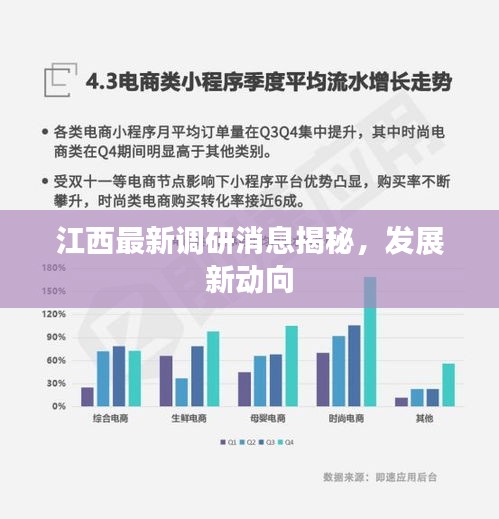 江西最新調(diào)研消息揭秘，發(fā)展新動向
