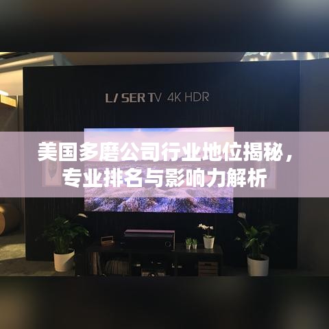 美國(guó)多磨公司行業(yè)地位揭秘，專業(yè)排名與影響力解析