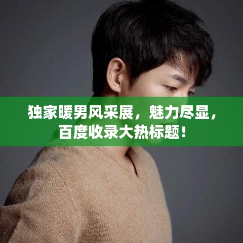 獨(dú)家暖男風(fēng)采展，魅力盡顯，百度收錄大熱標(biāo)題！