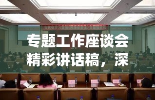 專題工作座談會精彩講話稿，深入探討與前瞻展望