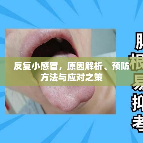 反復小感冒，原因解析、預防方法與應對之策
