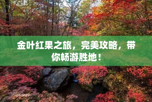 金葉紅果之旅，完美攻略，帶你暢游勝地！