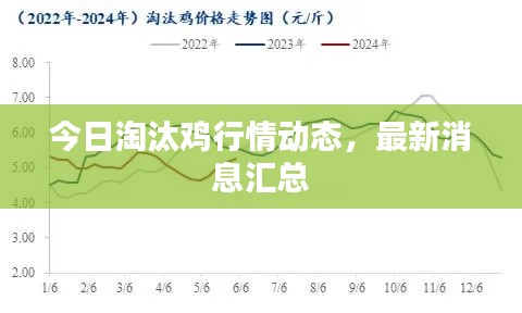 今日淘汰雞行情動態(tài)，最新消息匯總