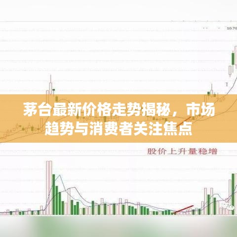 茅臺(tái)最新價(jià)格走勢(shì)揭秘，市場(chǎng)趨勢(shì)與消費(fèi)者關(guān)注焦點(diǎn)