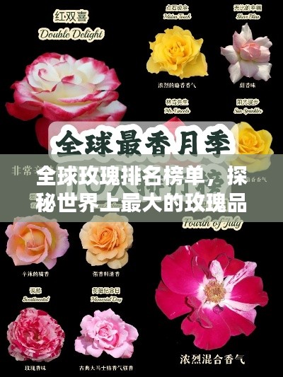 林下風(fēng)氣